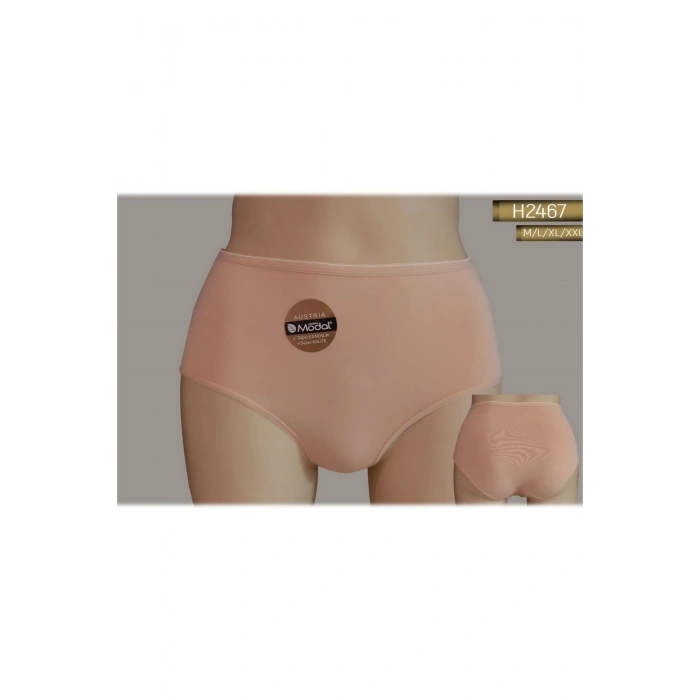 YÜKSEK BEL MODAL SLIP KÜLOT KADIN 2467