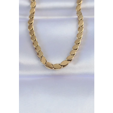 316L Çelik Gold Renk Arpa Model Kolye TG27BKO8748