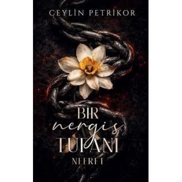 Martı Yayınlar