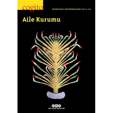 Yapı Kredi Yay