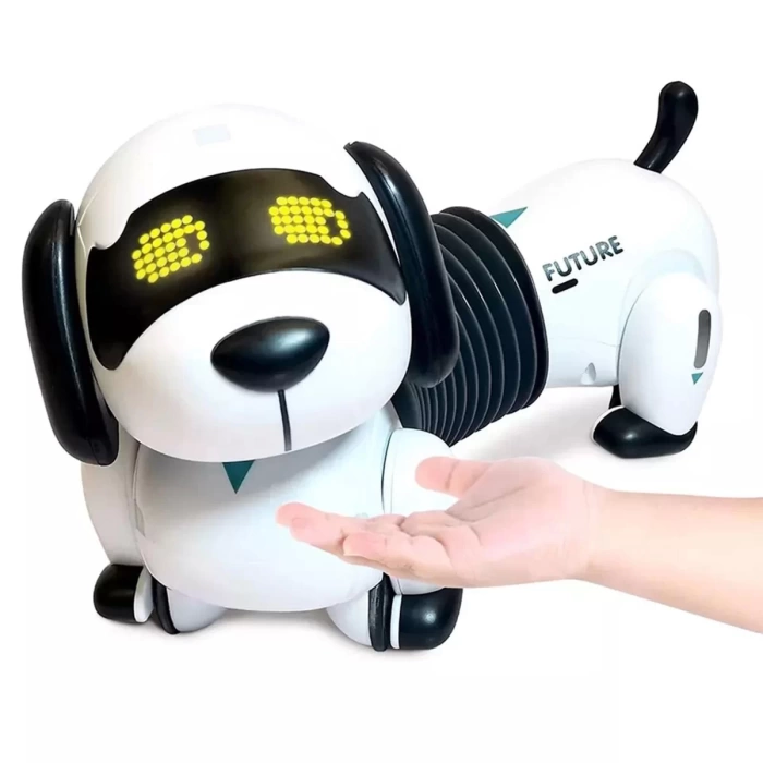 K22 Programlanabilir Uzayan Robot Köpek