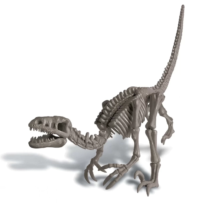 4M Velociraptor Arkeolojik Kazı Seti