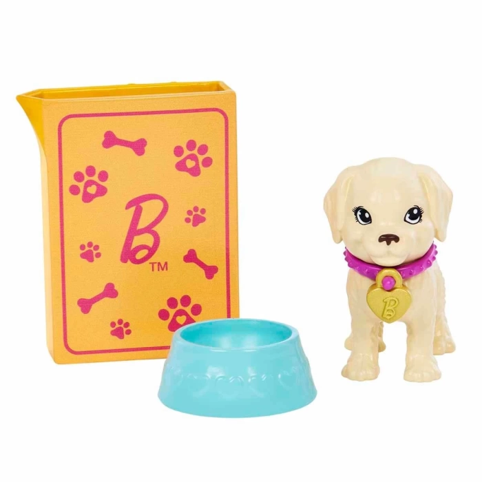 Barbie ve Köpekçikleri Oyun Seti HKD86