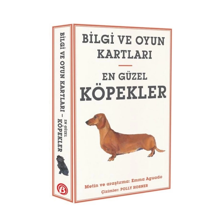 Bilgi ve Oyun Kartları En Güzel Köpekler