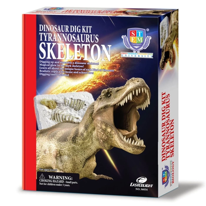 Dinozor Kazma Kiti Tyrannosaurus İskeleti