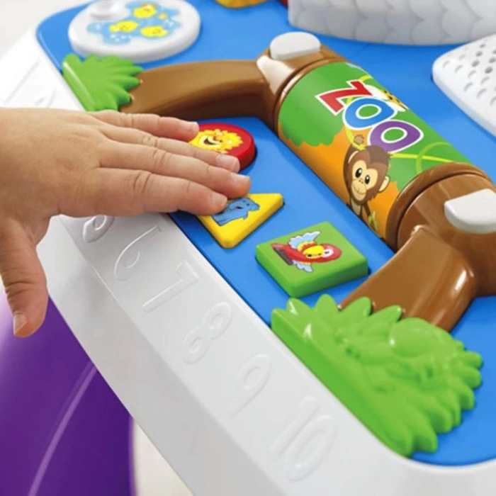 Fisher Price Eğitici Köpeğin Aktivite Masası