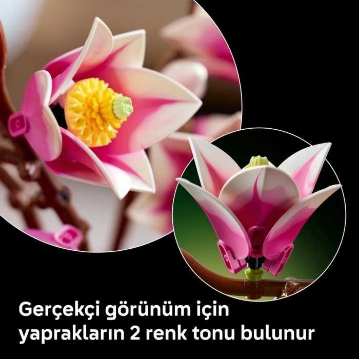 LEGO Botanicals Manolya Dalları 11510