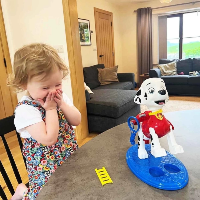 Paw Patrol Load Up