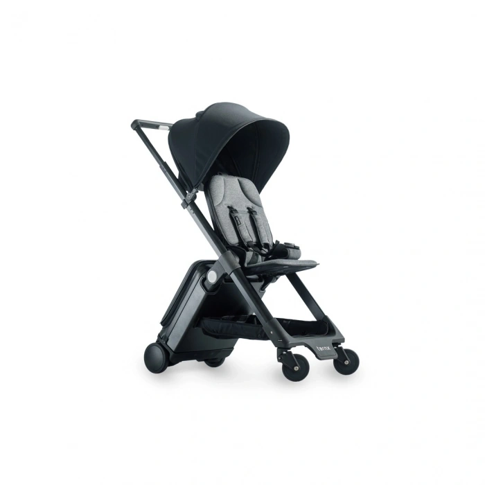 TernX El Bagajı Seyahat Bebek Arabası