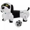 K22 Programlanabilir Uzayan Robot Köpek