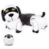 K22 Programlanabilir Uzayan Robot Köpek
