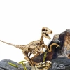 Bilim Seti Super Kit Velociraptor