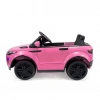 Akar Raptor GT 4X2 Pembe