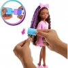 Barbie Dream Besties Brooklyn Bebek ve Aksesuarları