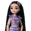 Barbie Dream Besties Paten Partisi Renee Bebek ve Aksesuarlar