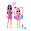 Barbie Skipper ve Stacie Doğum Günü Eğlencesi HKB12