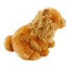 Chow Chow (Çin Aslanı) 28 cm