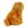 Chow Chow (Çin Aslanı) 28 cm