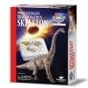 Dinozor Kazma Kiti Brachiosaurus İskeleti