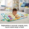 Fisher Price Havuz Keyfi Oyun Minderi GRR44