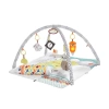 Fisher Price Perfect Sense Delüks Jimnastik Merkezi GKD45