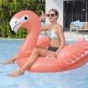Flamingo Şişme Bot 41526