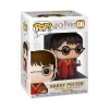 Funko POP Harry Potter Quidditch Harry