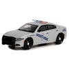 Greenlight 1/64 2019 Dodge Charger
