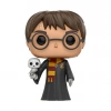 Funko POP Harry Potter: Harry Potter with Hedwig