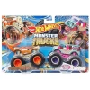 Hot Wheels Monster Trucks 1:64 Ölçek 2li Paketler FYJ64