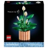 LEGO Botanicals Barış Çiçeği 11504