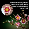 LEGO Botanicals Manolya Dalları 11510