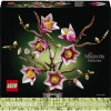 LEGO Botanicals Manolya Dalları 11510