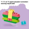 LEGO DUPLO Classic Renkli Yaratıcı Kutu 10479
