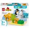 LEGO DUPLO Kasabası Vahşi Hayvan Aileleri: Penguenler ve Aslanlar 10442