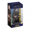 Minix Hagrid