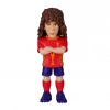 Minix Puyol