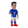 Minix R.Baggio