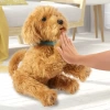 My Fuzzie Friends Sevimli Labrador Moji 18207