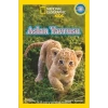 National Geographic Kids Aslan Yuvası