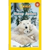 National Geographic Kids Kutup Ayıları