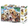 Prime 3D - Köpek Selfie 500 Parça Yetişkin Puzzle