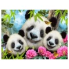 Prime 3D - Panda Pelüş ve Selfie 48 Parça Puzzle 15800