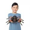 Robo Tarantula