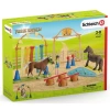 Schleich Pony Eğitimi Figür Oyuncak