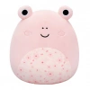 Squishmallows 20 cm Seri E Asorti