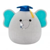 Squishmallows 30 cm Seri 25 Asorti