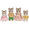 Sylvanian Families Çizgili Kedi Ailesi 5180