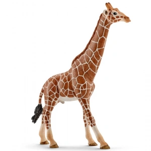 Schleich Dişi Zürafa