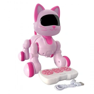 Uzaktan Kumandalı Kedi